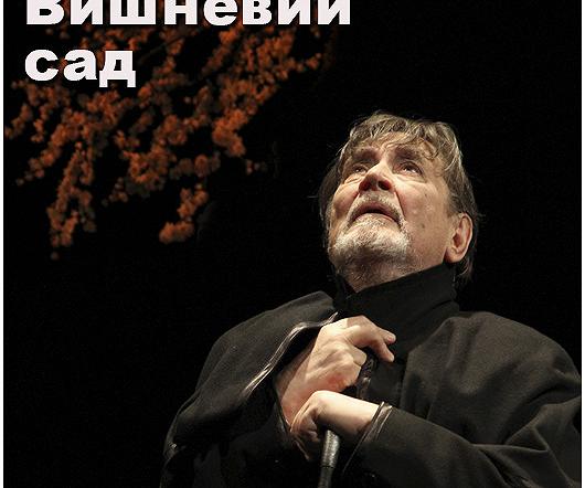 Вишневий сад Вишневий сад